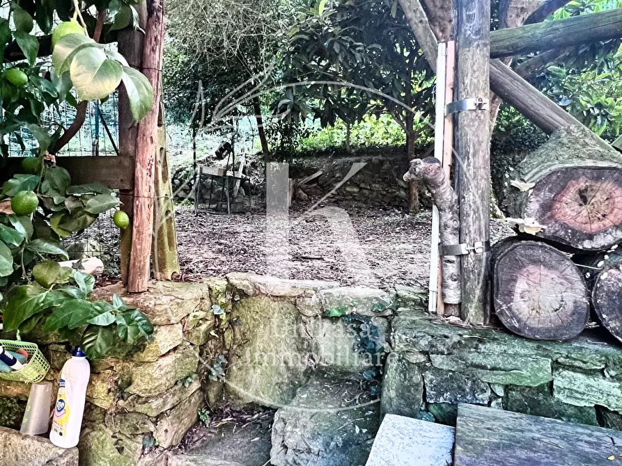 Immagine 15 di Villa in vendita  in Via per Calice a Finale Ligure