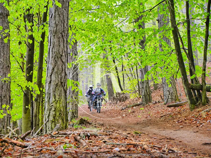Immagine 38 di Rustico / casale in vendita  in Orco Feglino a Orco Feglino