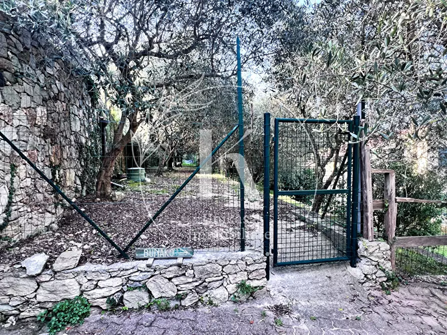 Immagine 61 di Villa in vendita  in Via per Calice a Finale Ligure