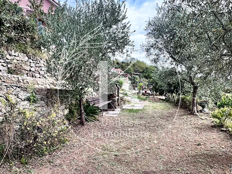 Immagine 21 di Casa indipendente in vendita  in Via Ciantagalletto a Savona