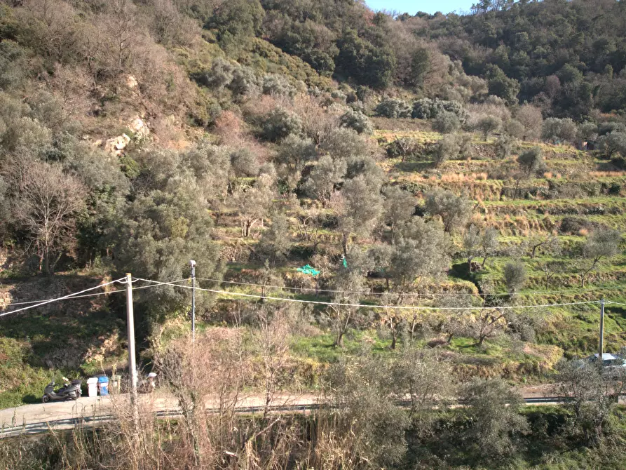 Immagine 7 di Terreno agricolo in vendita  in Via Marmorassi 75 a Savona