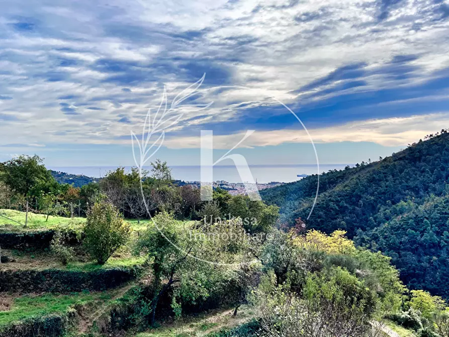 Immagine 11 di Casa indipendente in vendita  in Via Ciantagalletto a Savona