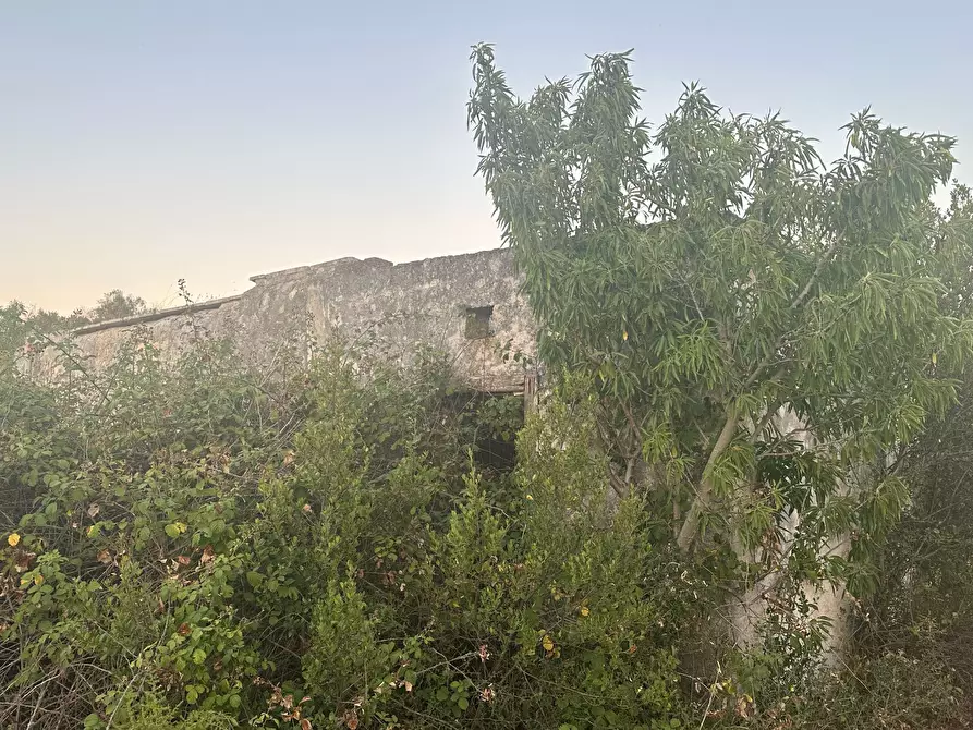 Immagine 7 di Casa indipendente in vendita  in Strada Provinciale 29 a Ostuni