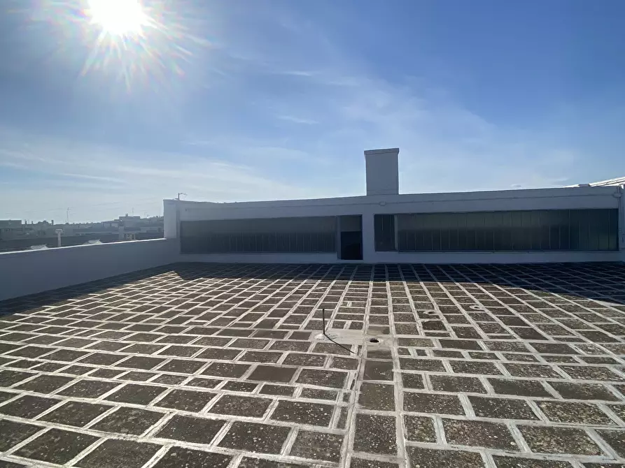 Immagine 17 di Azienda agricola in vendita  in Strada Statale 16 Adriatica 105 a Ostuni