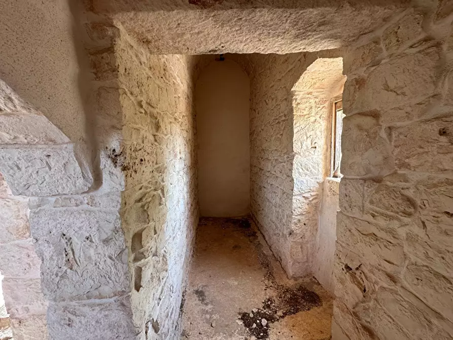 Immagine 20 di Rustico / casale in vendita  in Strada Provinciale 29 a Ostuni