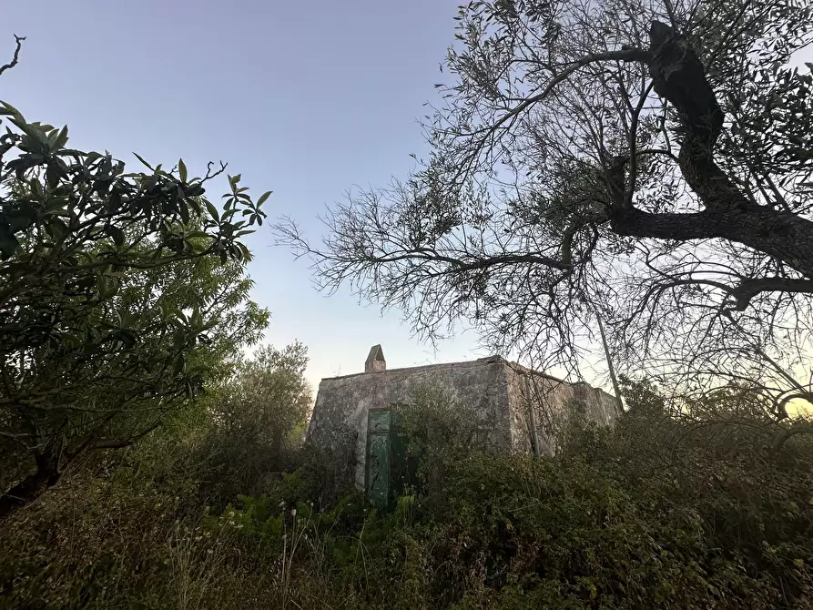 Immagine 4 di Casa indipendente in vendita  in Strada Provinciale 29 a Ostuni