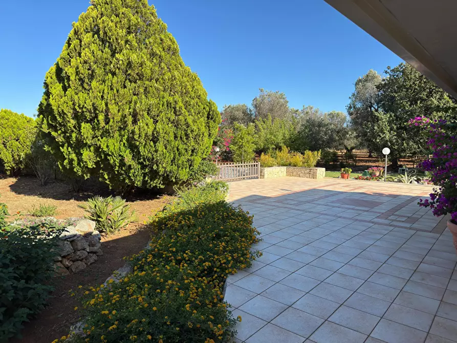 Immagine 13 di Villa in vendita  in Strada Provinciale 29 a Ceglie Messapico