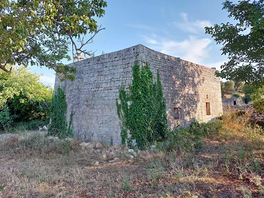 Immagine 29 di Casa indipendente in vendita  in Contrada Panza a Cisternino