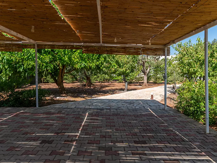 Immagine 6 di Villa in vendita  in contrada augelluzzi a San Michele Salentino