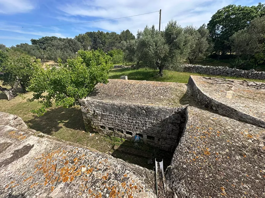 Immagine 29 di Rustico / casale in vendita  in Strada Provinciale 17 a Ostuni
