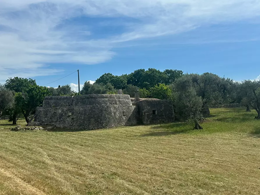 Immagine 3 di Rustico / casale in vendita  in Strada Provinciale 17 a Ostuni