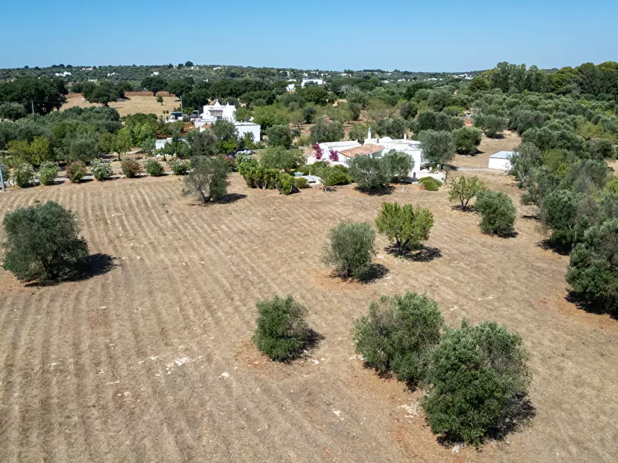 Immagine 14 di Villa in vendita  in contrada san benedetto a Ostuni