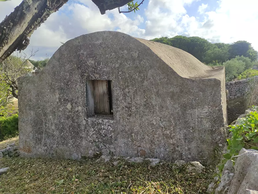 Immagine 15 di Villa in vendita  in Contrada Fantese 38 a Ostuni