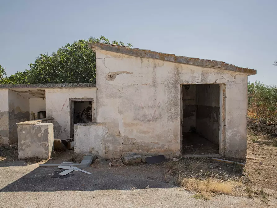 Immagine 8 di Rustico / casale in vendita  in Contrada San Francesco a Carovigno