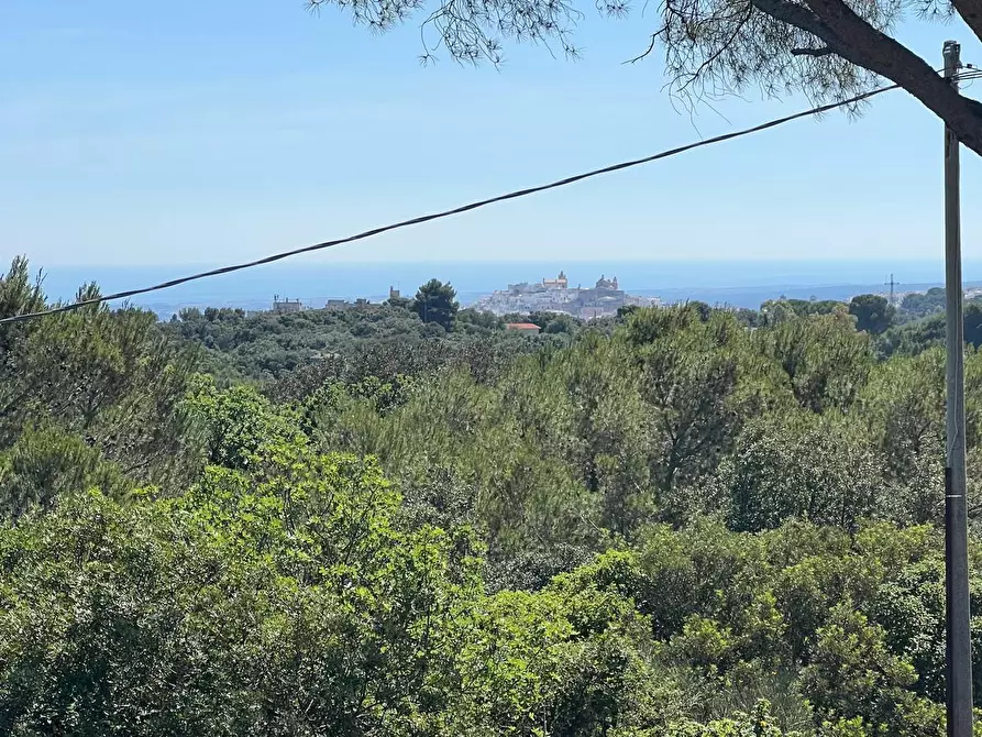 Immagine 11 di Villa in vendita  in Strada Provinciale 17 SNC a Ostuni