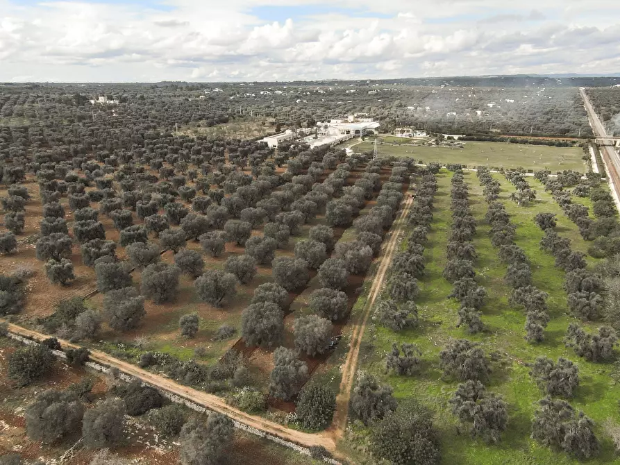 casa indipendente in vendita a Carovigno
