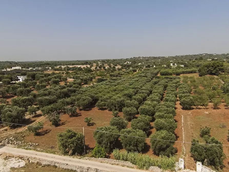 Immagine 2 di Terreno edificabile in vendita  in Contrada Santo ScaloneSANTO SCALONE snc a Ostuni