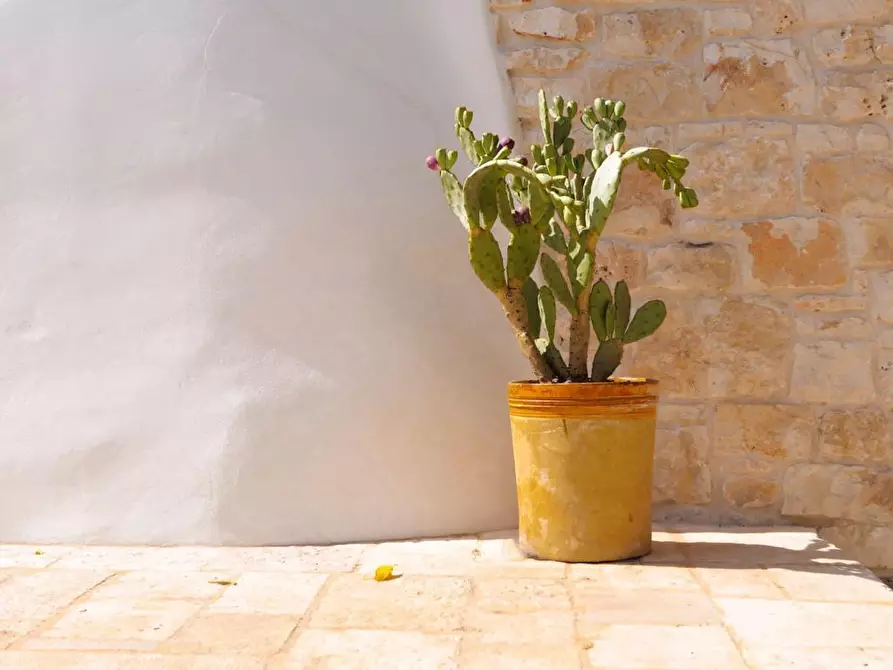 Immagine 7 di Casa indipendente in vendita  in Contrada Tamburroni a Ostuni