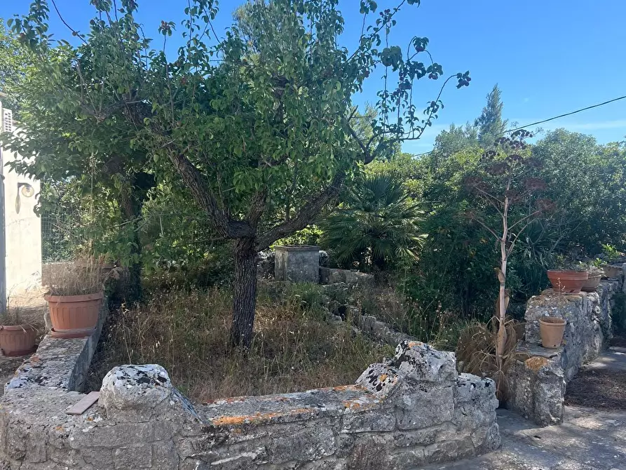 Immagine 10 di Villa in vendita  in Strada Provinciale 17 SNC a Ostuni