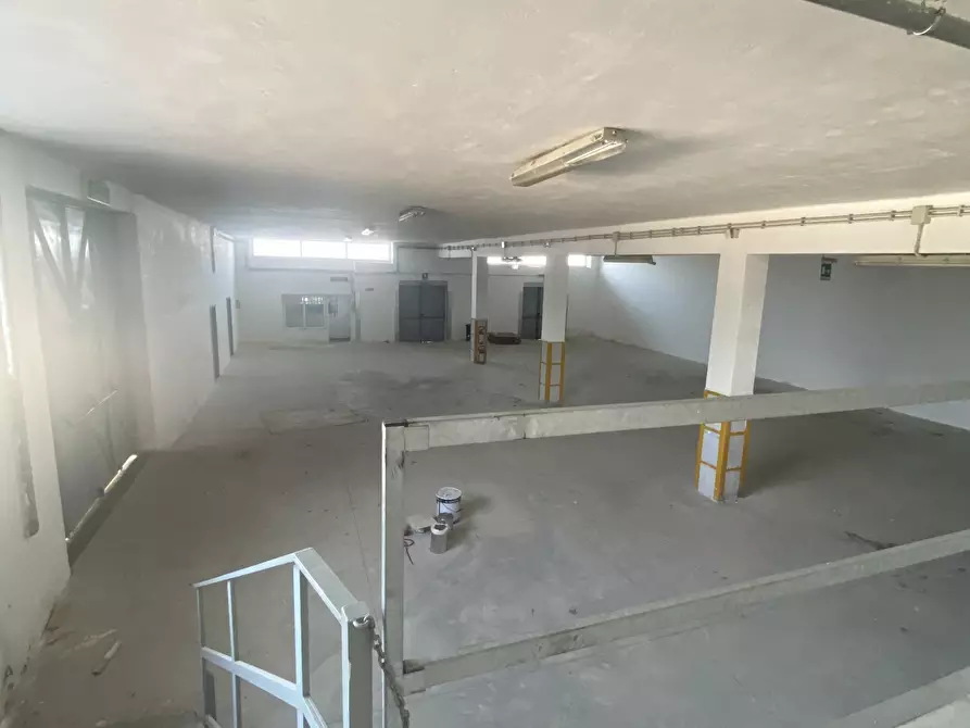 Immagine 20 di Azienda agricola in vendita  in Strada Statale 16 Adriatica 105 a Ostuni