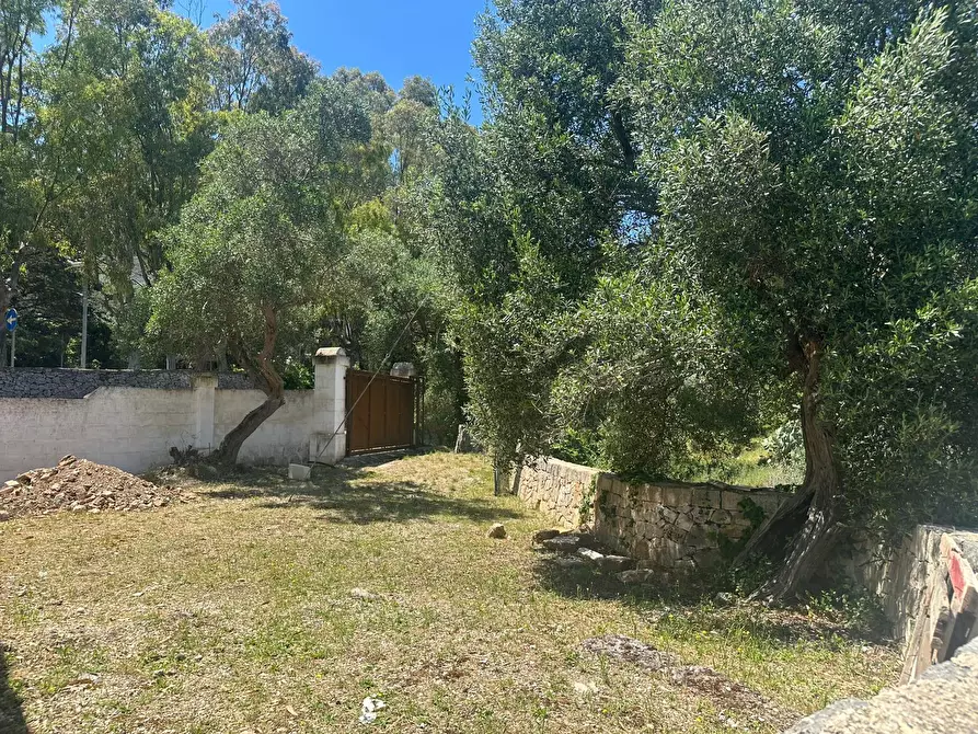 Immagine 77 di Rustico / casale in vendita  in corso giuseppe mazzini a Ostuni