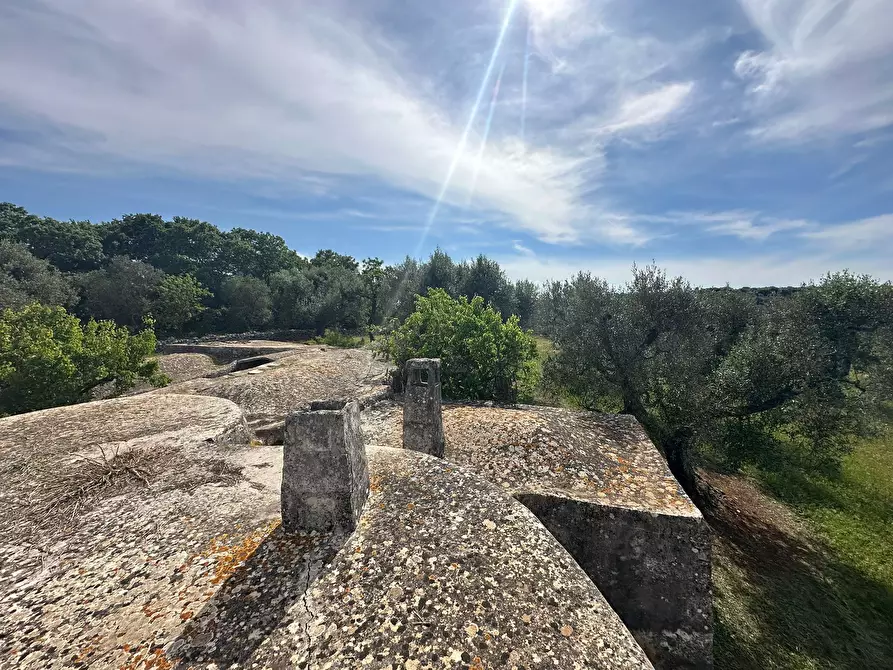 Immagine 26 di Rustico / casale in vendita  in Strada Provinciale 17 a Ostuni