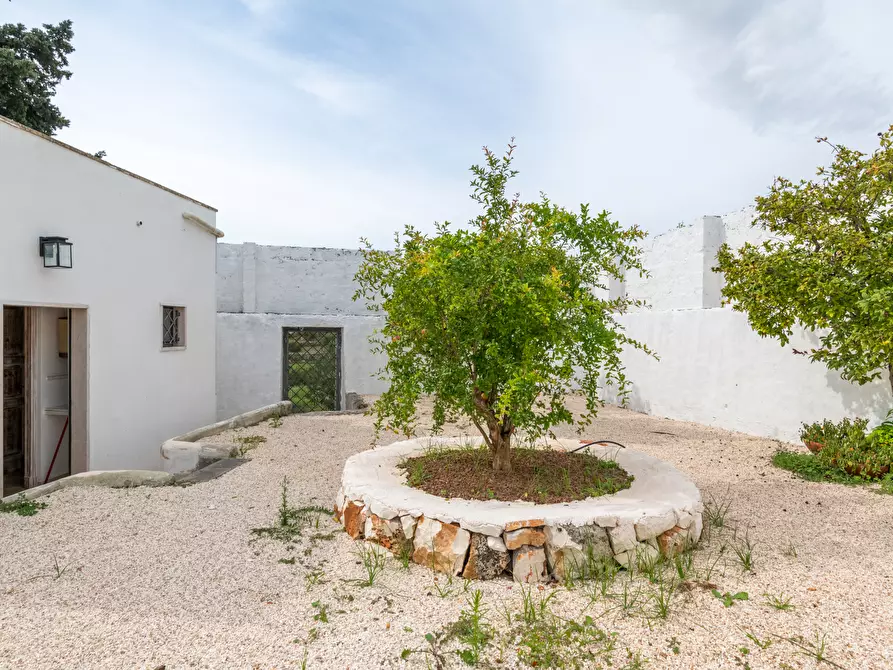 Immagine 15 di Villa in vendita  in contrada molillo a Ostuni