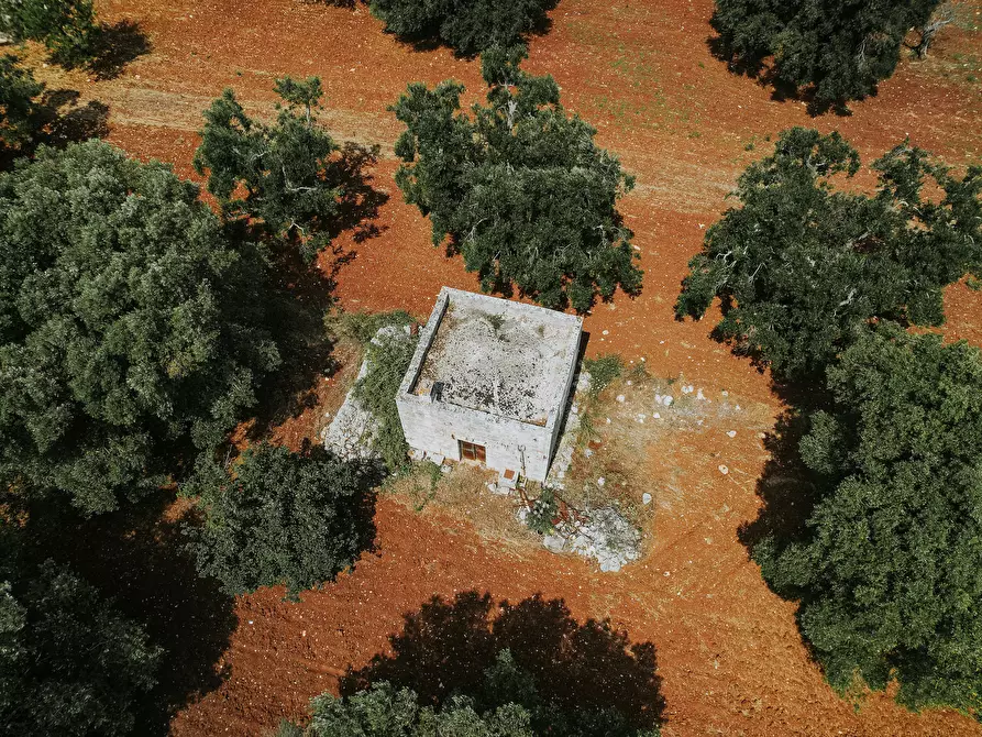 Immagine 16 di Rustico / casale in vendita  in contrada fatima a Carovigno