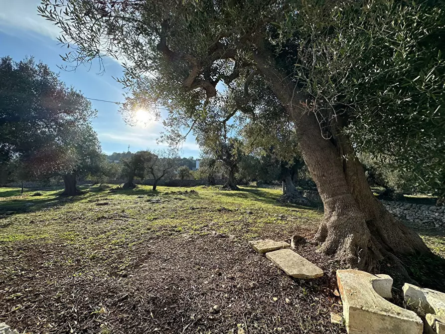 Immagine 35 di Casa indipendente in vendita  in Corso Giuseppe Mazzini a Ostuni