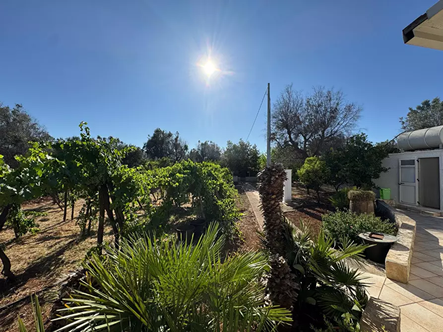 Immagine 21 di Villa in vendita  in Strada Provinciale 29 a Ceglie Messapico