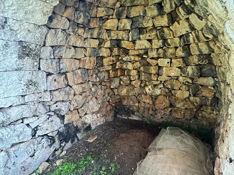 Immagine 8 di Casa indipendente in vendita  in Contrada San Giovanni a Ostuni