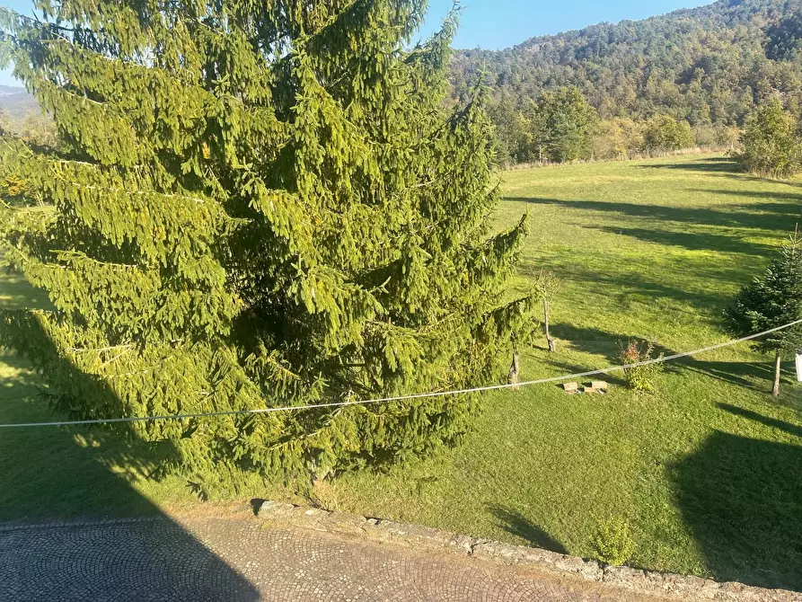 Immagine 58 di Villa in vendita  a Pareto