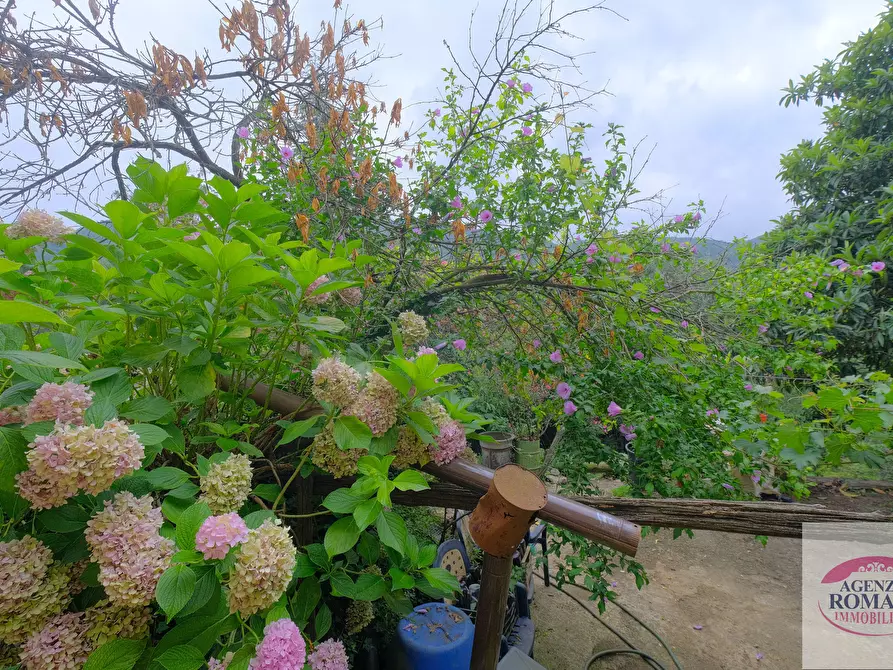 Immagine 24 di Rustico / casale in vendita  in Via Pero 112 a Varazze