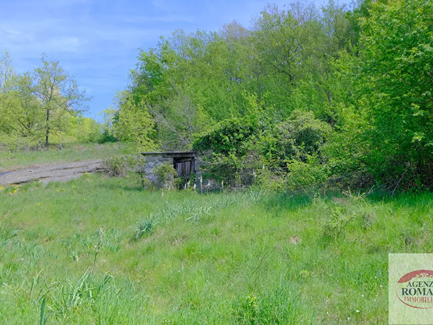 Immagine 8 di Rustico / casale in vendita  in Corso Bovio 2 a Giusvalla