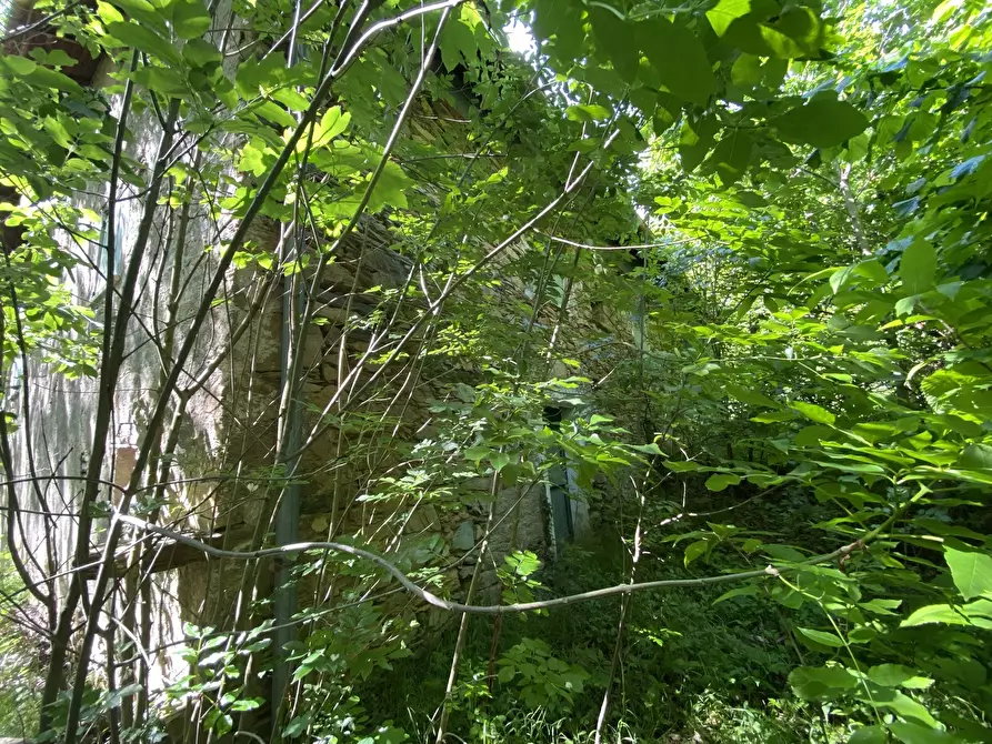 Immagine 10 di Casa indipendente in vendita  in Via Monterosso 11 a Tiglieto