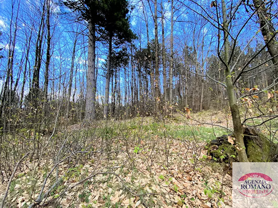 Immagine 20 di Rustico / casale in vendita  in Via Marasca 28 a Urbe