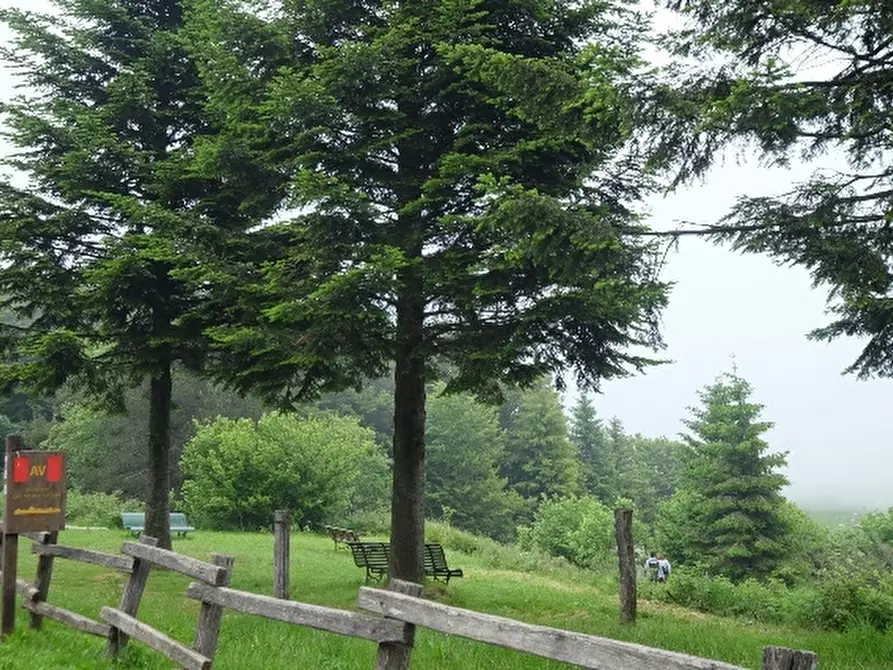 Immagine 3 di Albergo/B&B/Residence in vendita  a Cogoleto