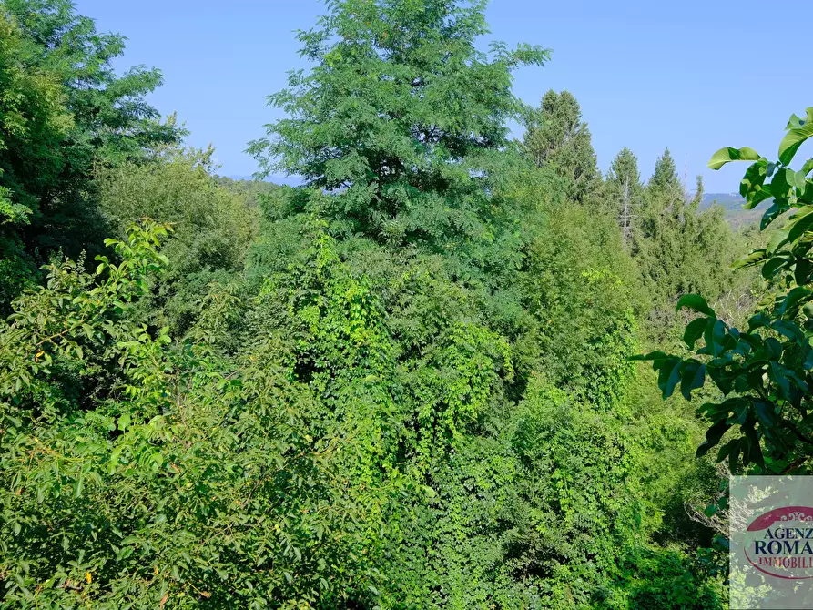 Immagine 18 di Terratetto in vendita  in Via Chiesa, 34 a Sassello