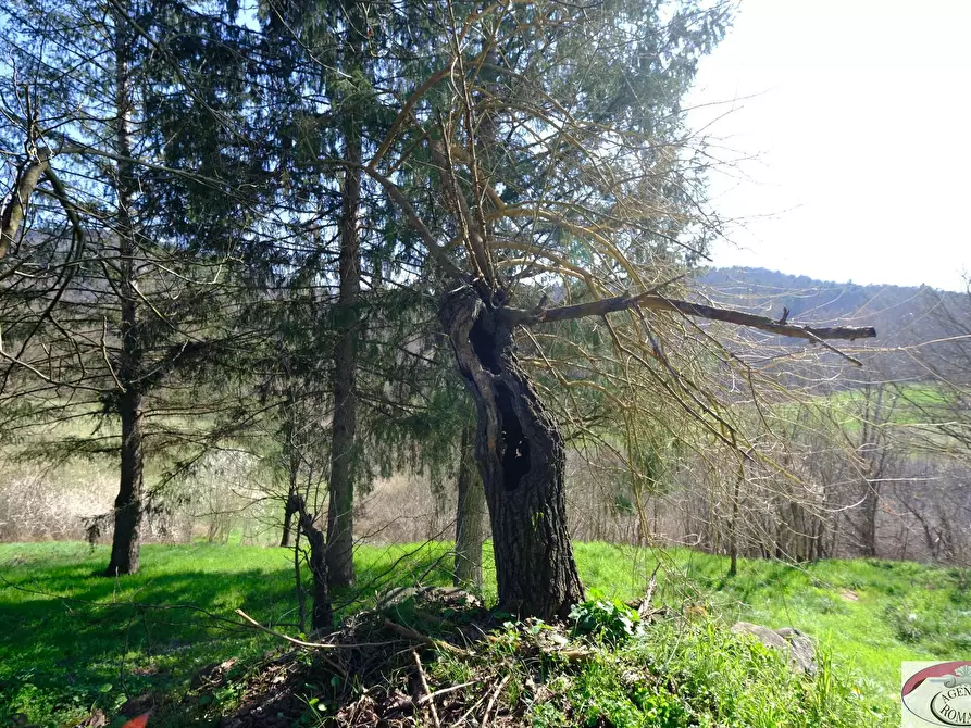 Immagine 28 di Rustico / casale in vendita  in SP216 6 a Pareto