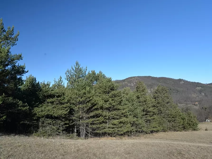 Immagine 3 di Terreno edificabile in vendita  a Sassello