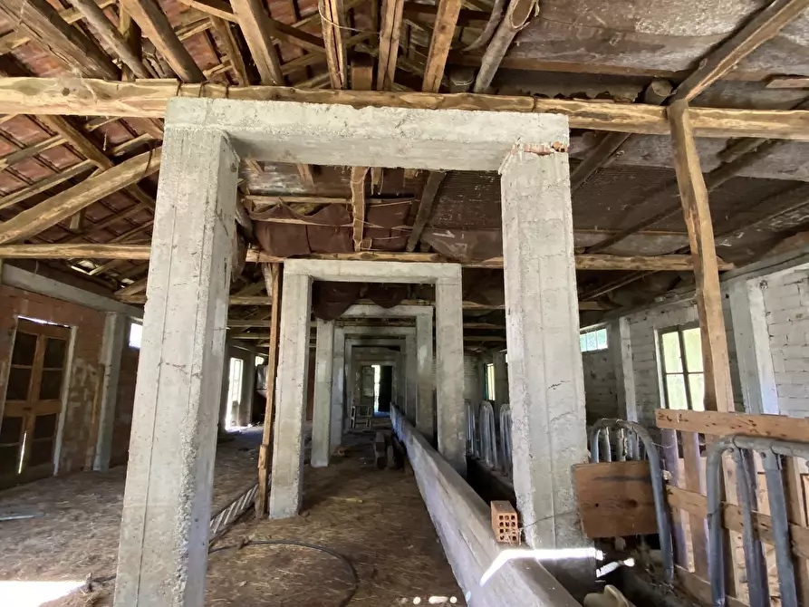 Immagine 13 di Casa indipendente in vendita  in Località Chiapuzzo 8 a Sassello