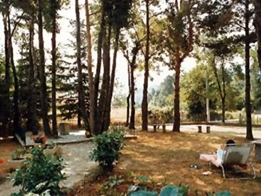 Immagine 2 di Casa bifamiliare in vendita  a Sassello