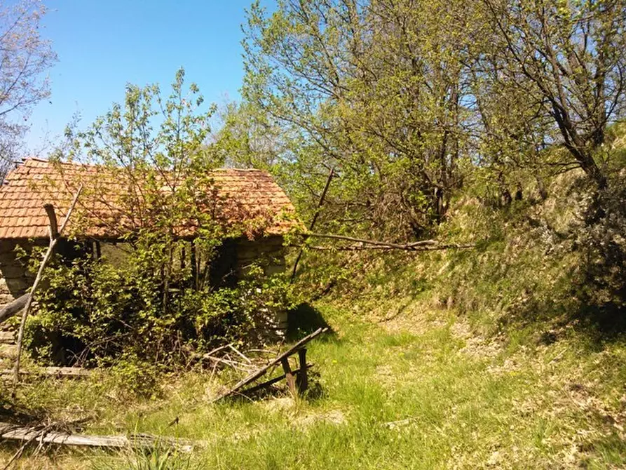 Immagine 15 di Rustico / casale in vendita  a Giusvalla