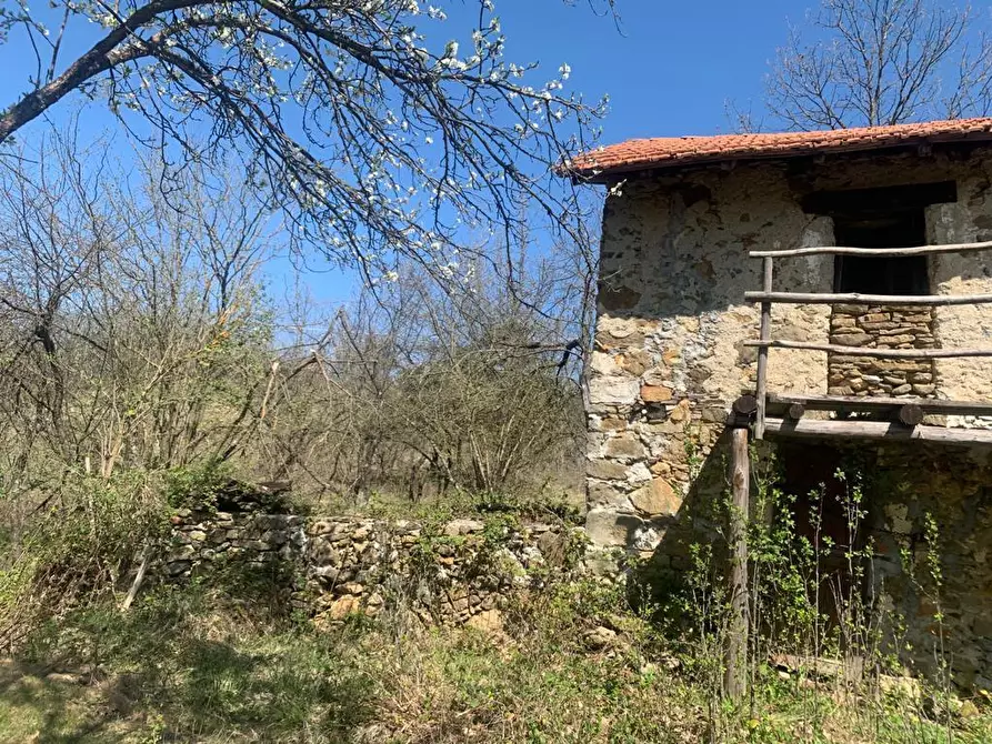 Immagine 11 di Rustico / casale in vendita  a Dego