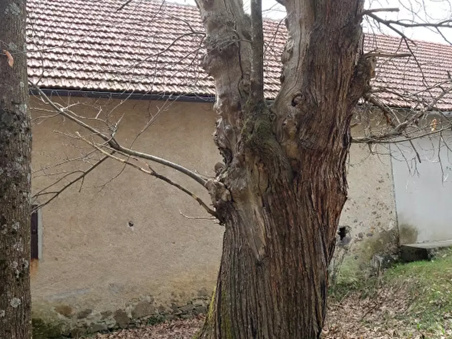 Immagine 6 di Rustico / casale in vendita  a Tiglieto