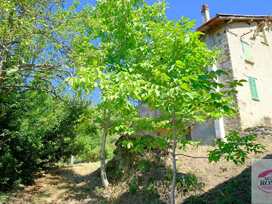 Immagine 12 di Rustico / casale in vendita  in regione Pianlago 110 a Ponzone