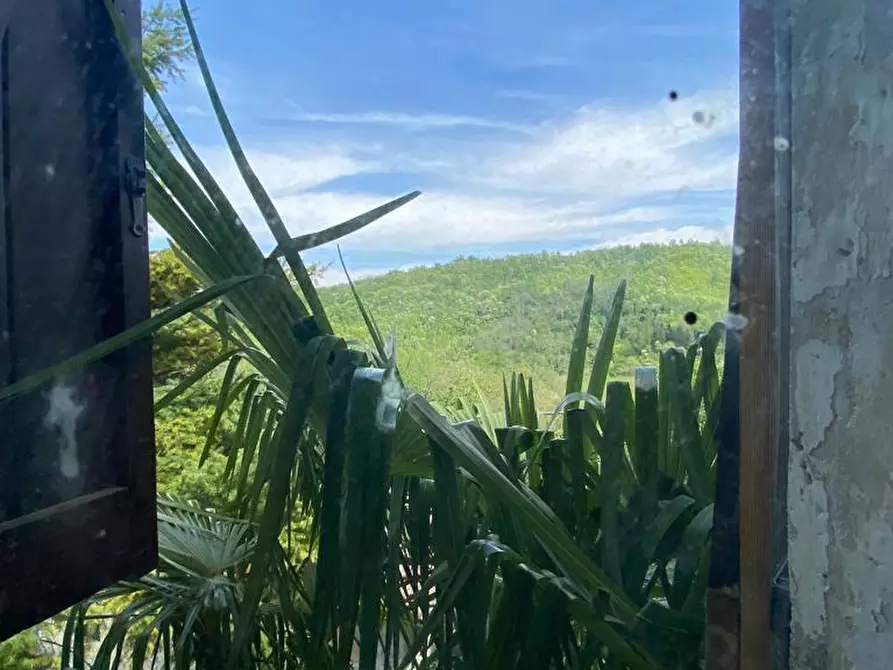 Immagine 7 di Casa indipendente in vendita  in regione Catanzo a Visone