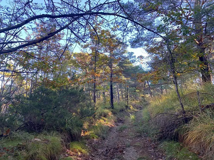 Immagine 18 di Rustico / casale in vendita  in Loc Ormei a Ponzone