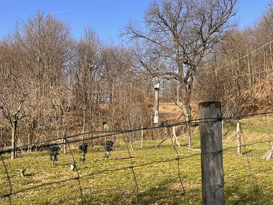 Immagine 9 di Rustico / casale in vendita  in Località Dano 3 a Sassello