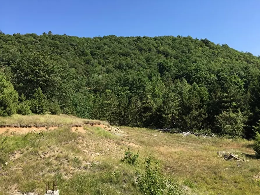 Immagine 41 di Rustico / casale in vendita  a Pontinvrea